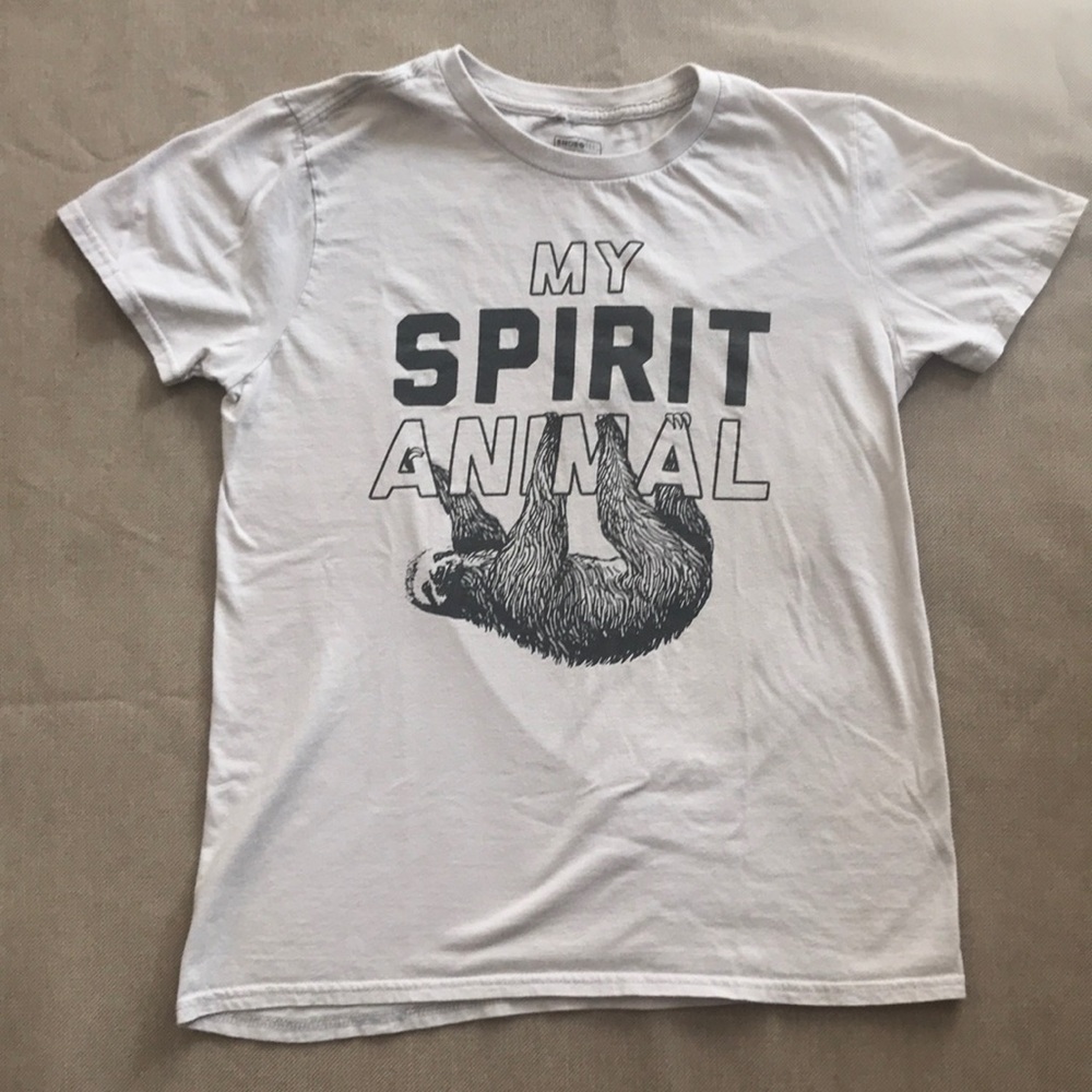 Sloth spirit animal pale gray t-shirt mens small